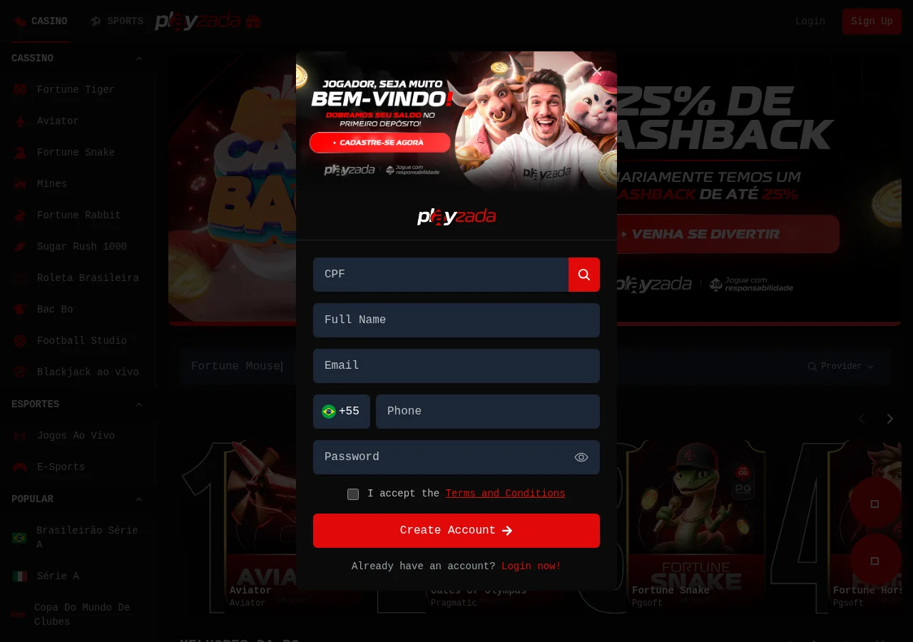 Playzada: Registro e Conta